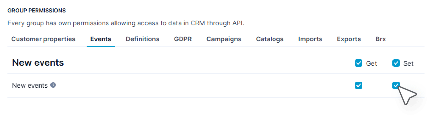 Bloomreach settings screenshot